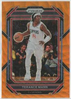 Terance Mann