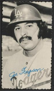 Joe Ferguson