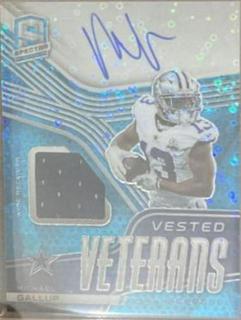 Michael Gallup