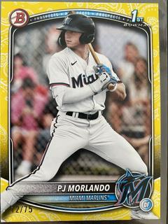 PJ Morlando