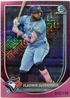 Vladimir Guerrero Jr.