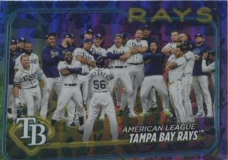 Tampa Bay Rays