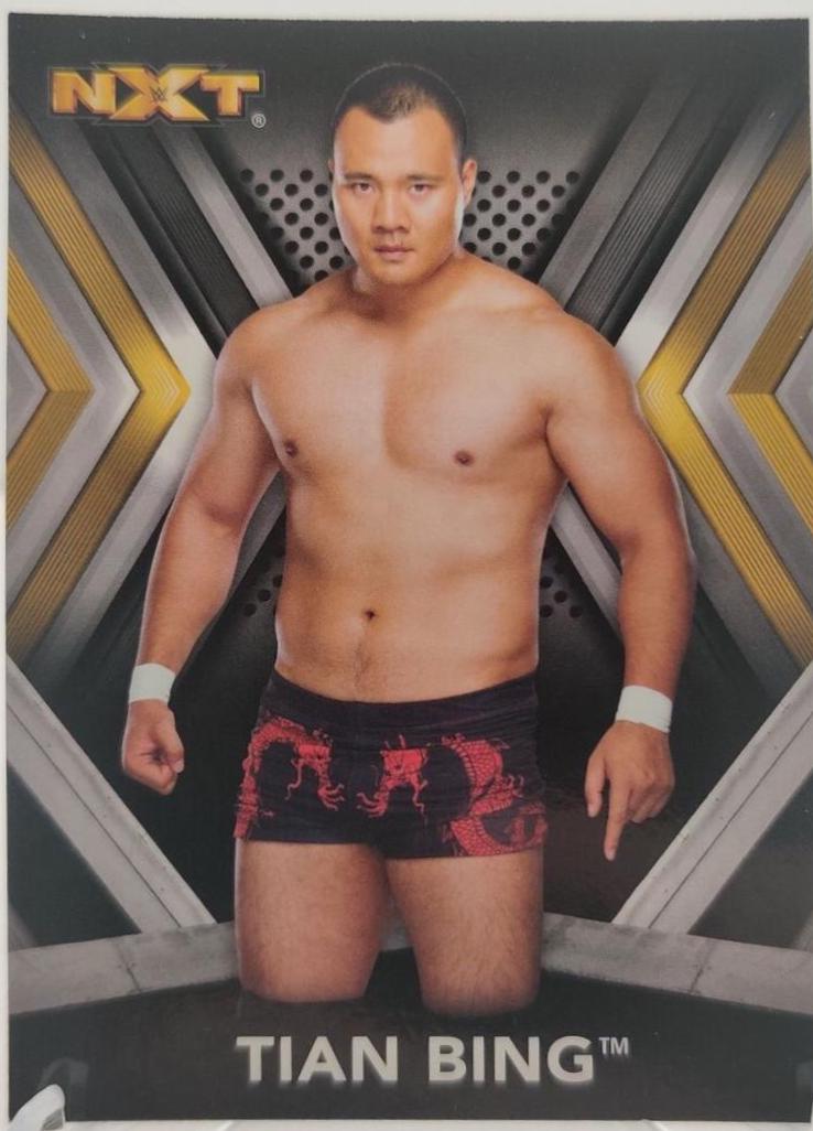 Tian Bing #30 Wrestling Cards 2017 Topps WWE NXT