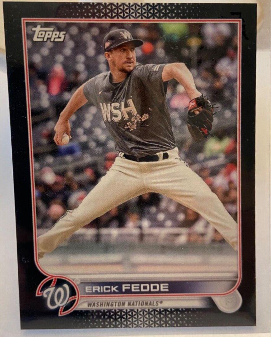 Washington Nationals [Mini Black] #218
