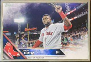 David Ortiz