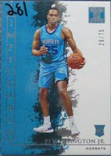 PJ Washington Jr.