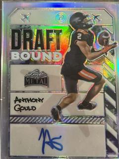 Anthony Gould