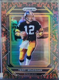 Terry Bradshaw