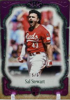 Sal Stewart