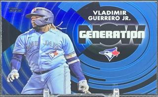 Vladimir Guerrero Jr.