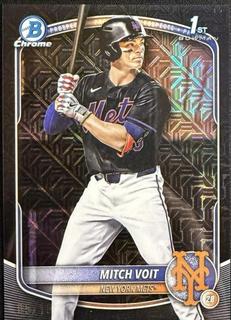 Mitch Voit