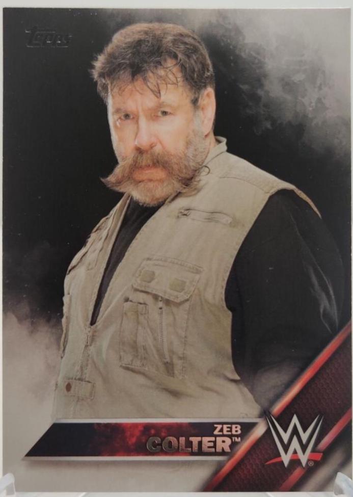 Zeb Colter #49 Wrestling Cards 2016 Topps WWE