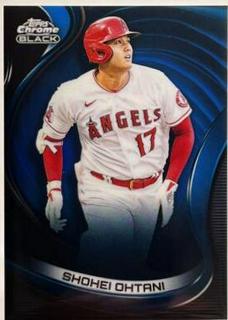 Shohei Ohtani