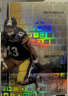 Troy Polamalu