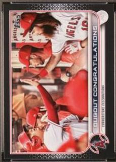 Ohtani / Marsh