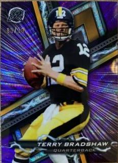 Terry Bradshaw