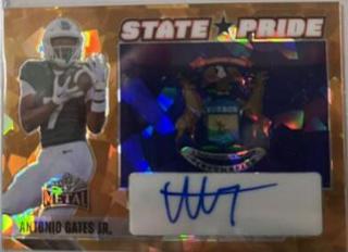 Antonio Gates Jr.