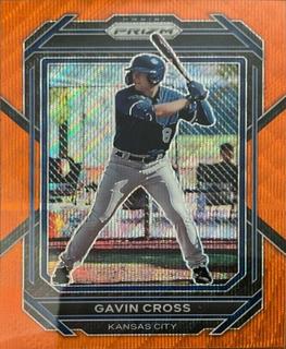 Gavin Cross