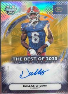 Dallas Wilson