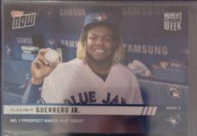 Vladimir Guerrero Jr.