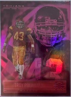 Troy Polamalu