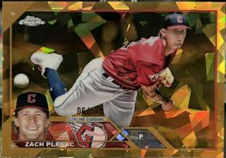Zach Plesac