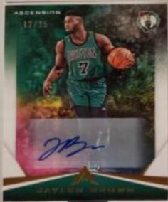 Jaylen Brown