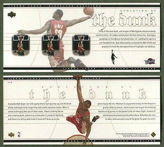LeBron James Oversize