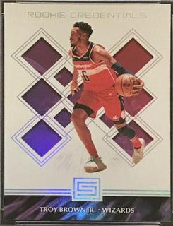 Troy Brown Jr.