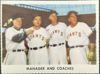 Manager & Coaches