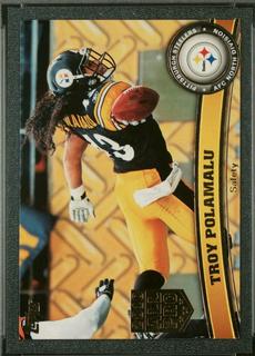 Troy Polamalu