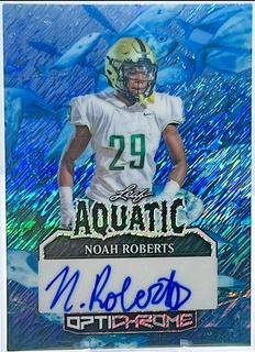 Noah Roberts