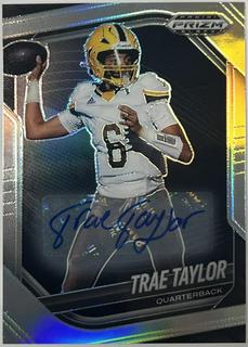 Trae Taylor