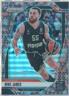 Mike James