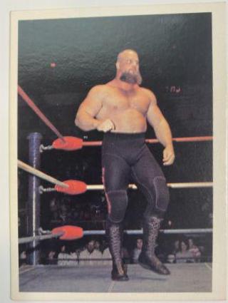 Warlord #37 Wrestling Cards 1988 Wonderama NWA