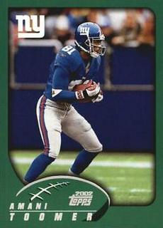 Amani Toomer