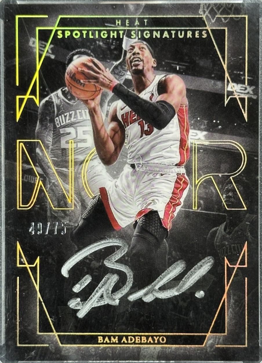 Bam Adebayo #19