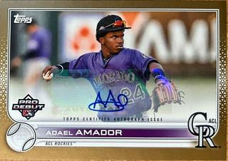 Adael Amador