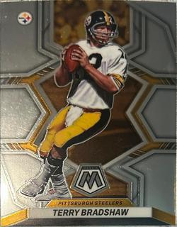 Terry Bradshaw
