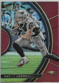 Danny Amendola