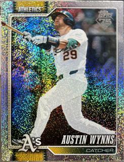 Austin Wynns