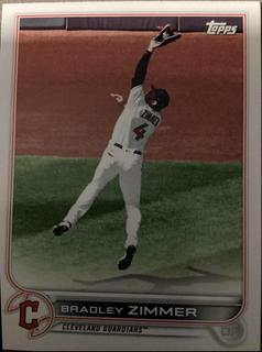 Bradley Zimmer