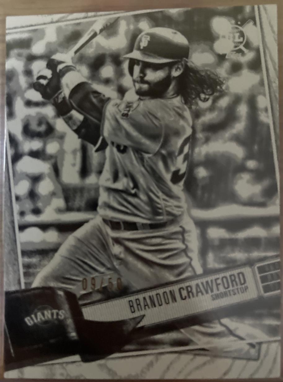 brandon crawford #256