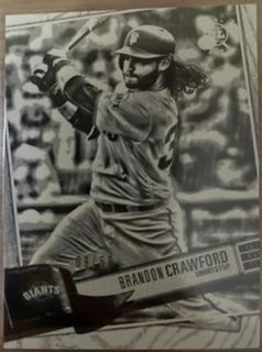 brandon crawford