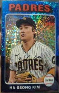Ha-Seong Kim