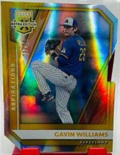 Gavin Williams