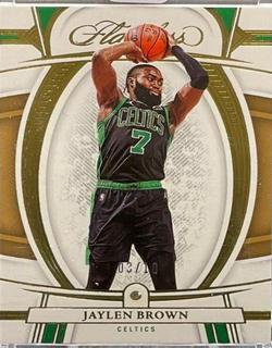 Jaylen Brown