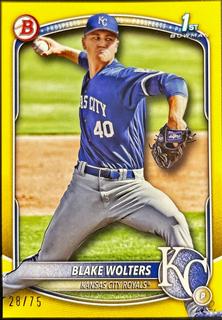 Blake Wolters