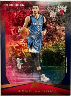 Zach LaVine