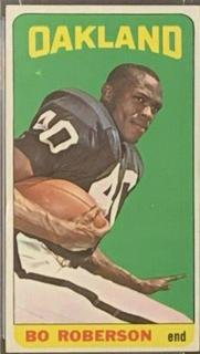 Bo Roberson